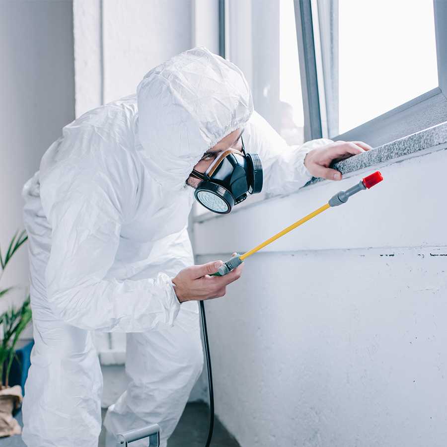 Pure Green Pest control experts