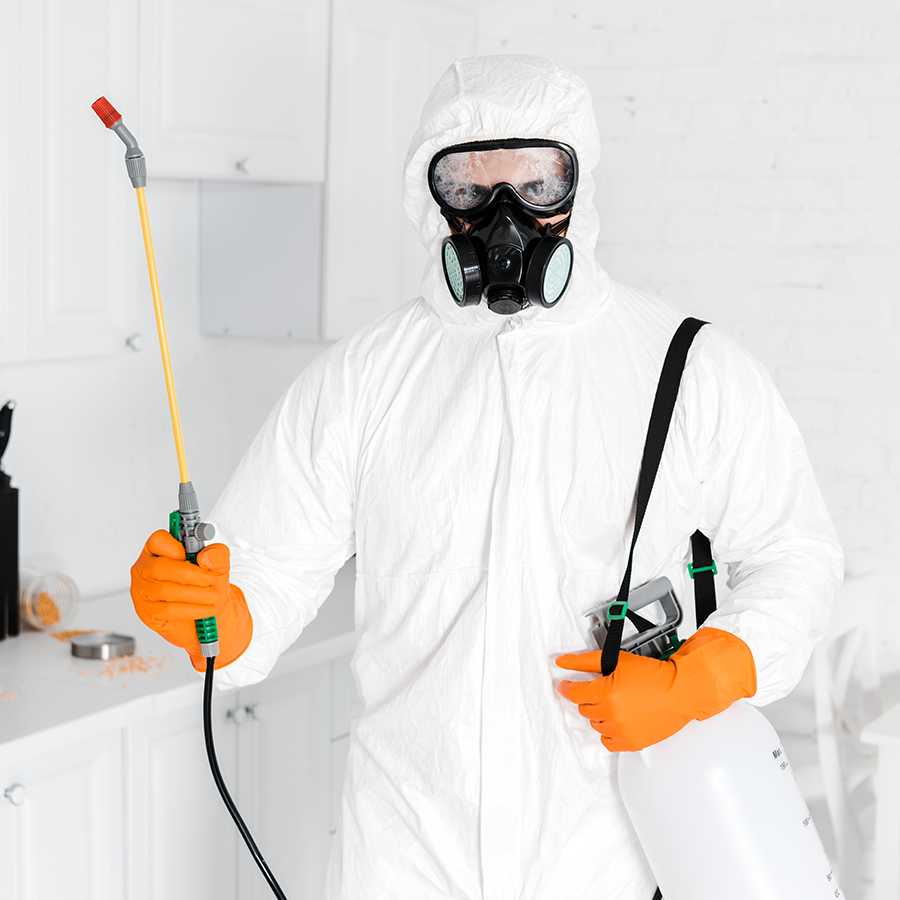 Pure Pest Control Dallas
