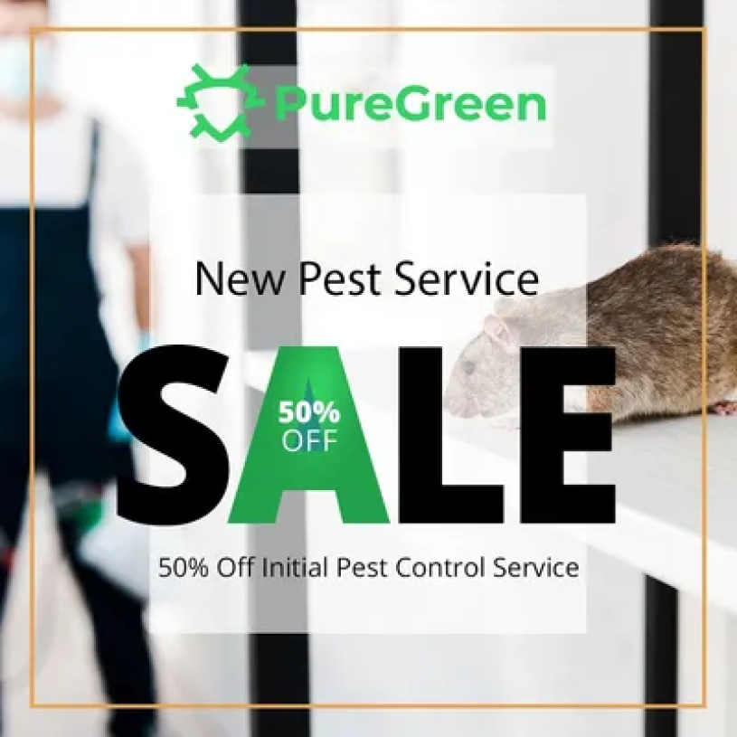Pest Control Services Sale