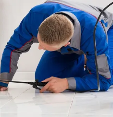 Pure Green Pest control experts