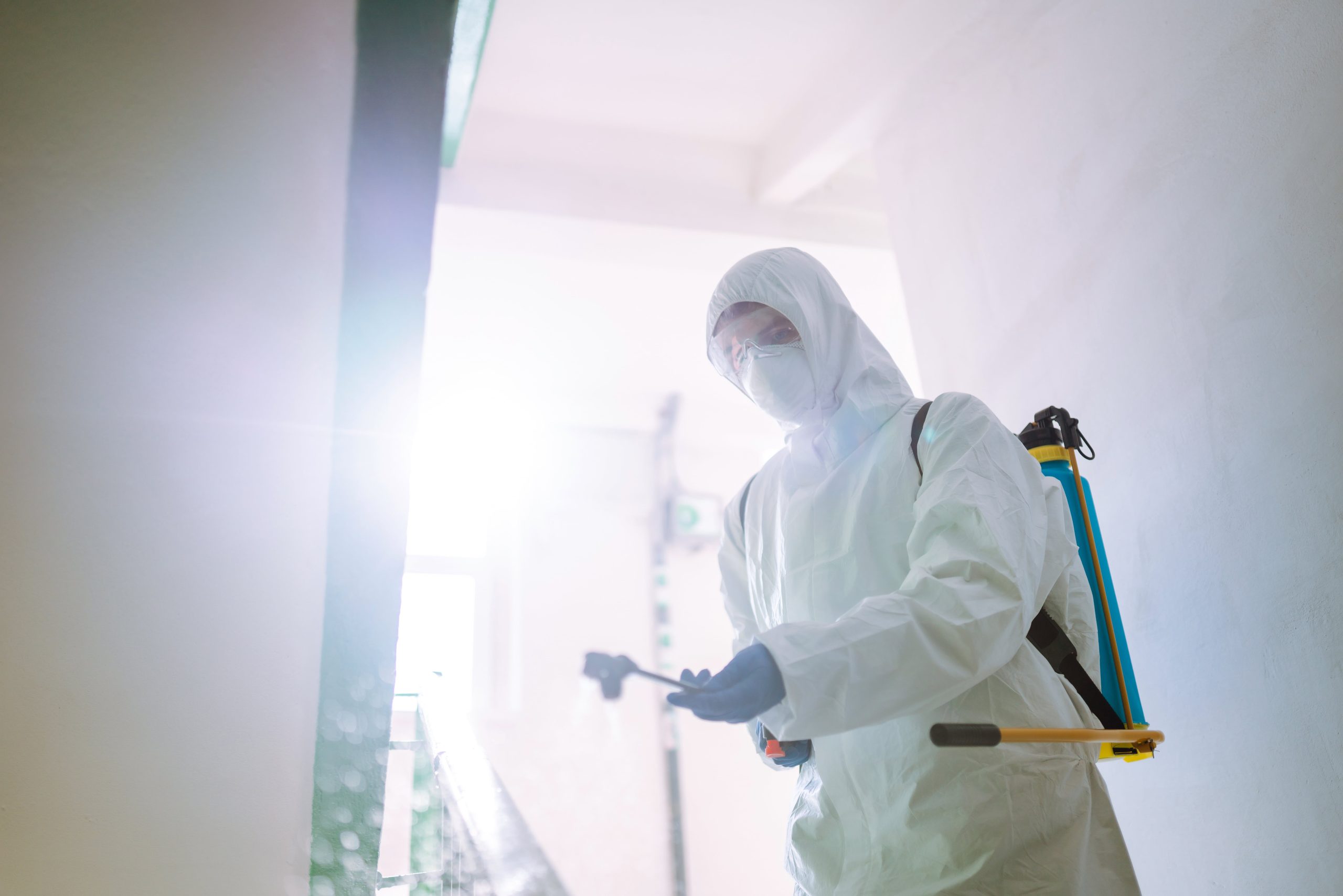 bed bug exterminator near me - A technician in protective gear spraying pest control treatment in a brightly lit stairwell.