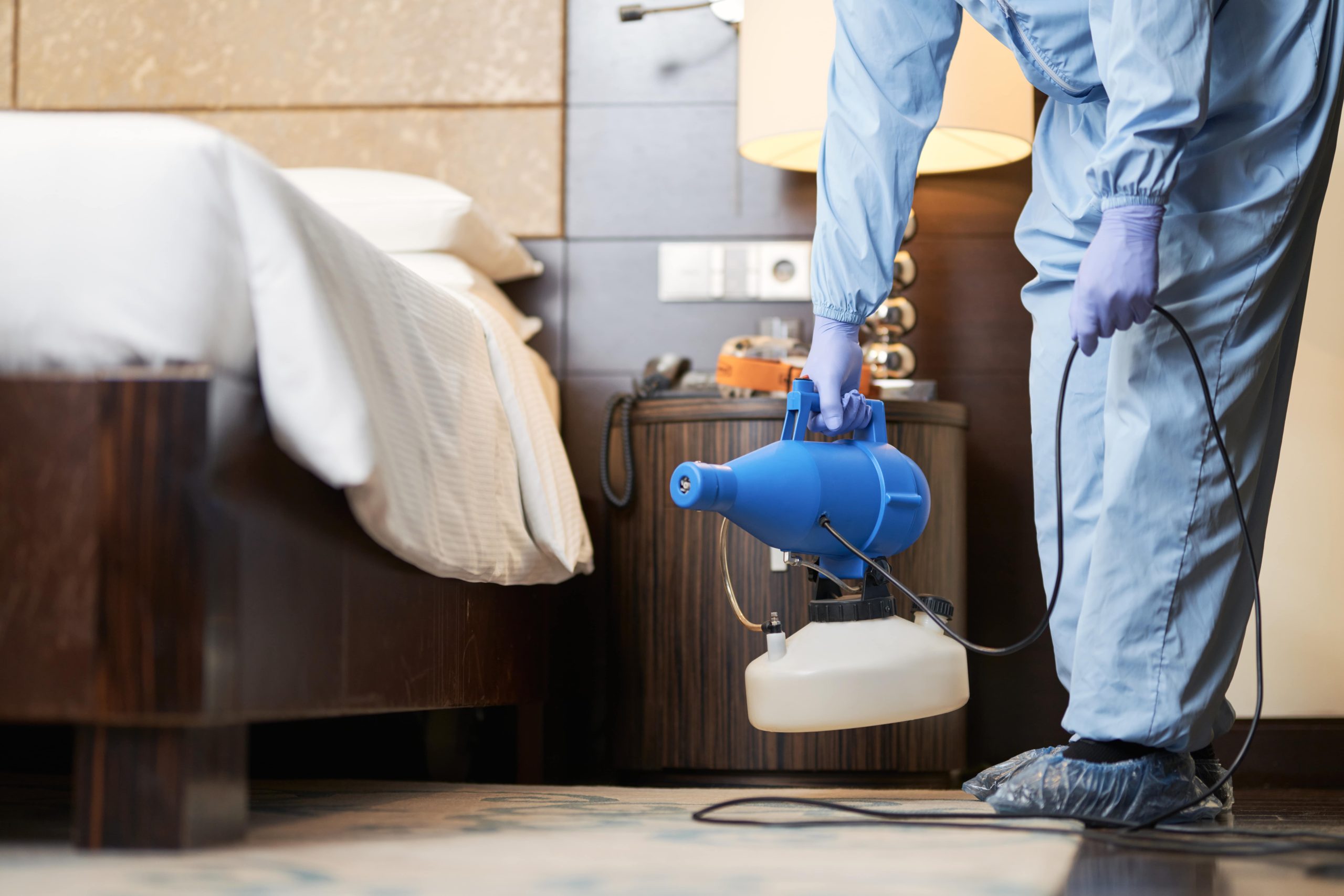 how much is bed bug treatment - Close-up of a pest control professional treating a bedroom for bed bugs.