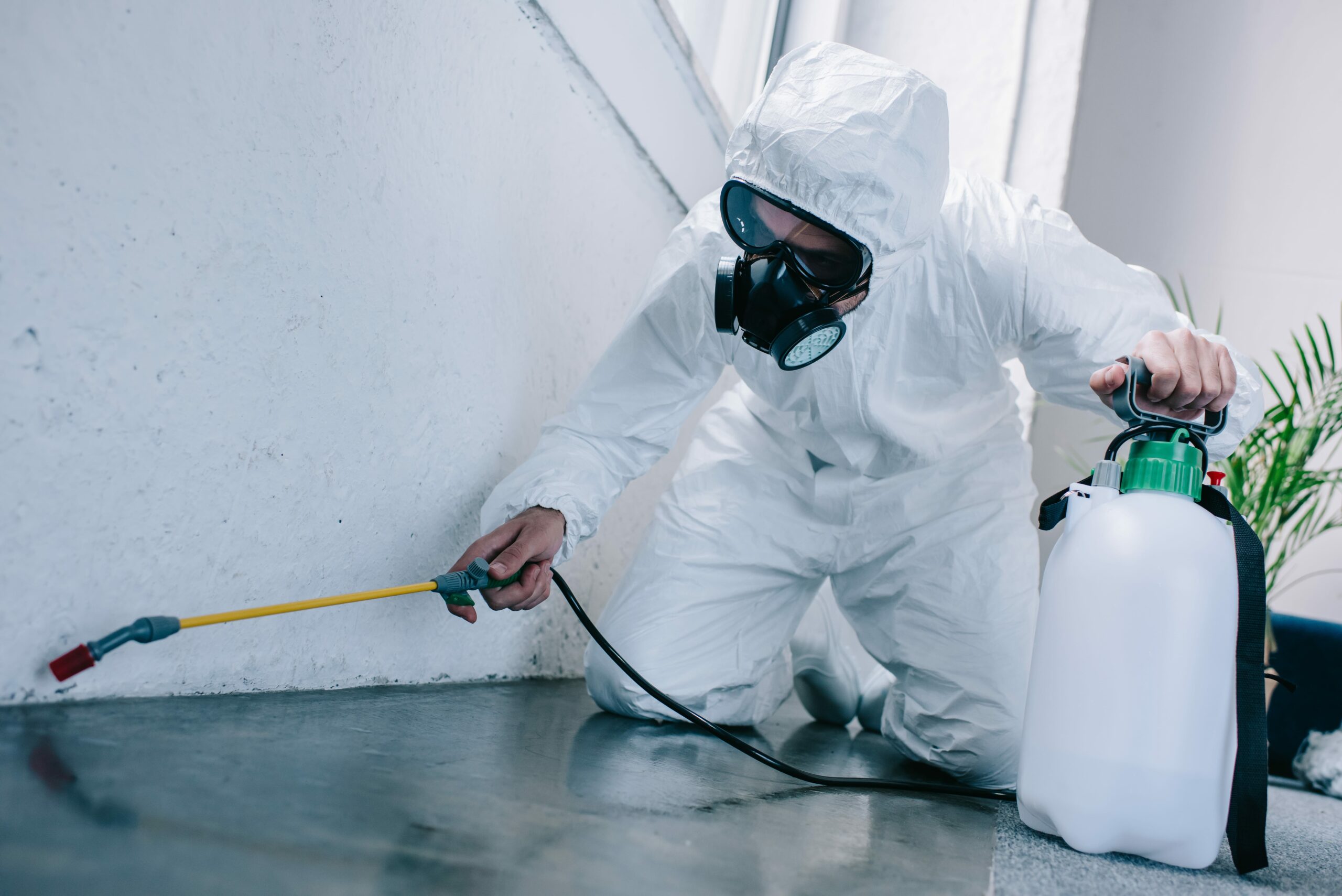 Professional pest control worker in protective gear conducting commercial termite inspection and spraying treatment