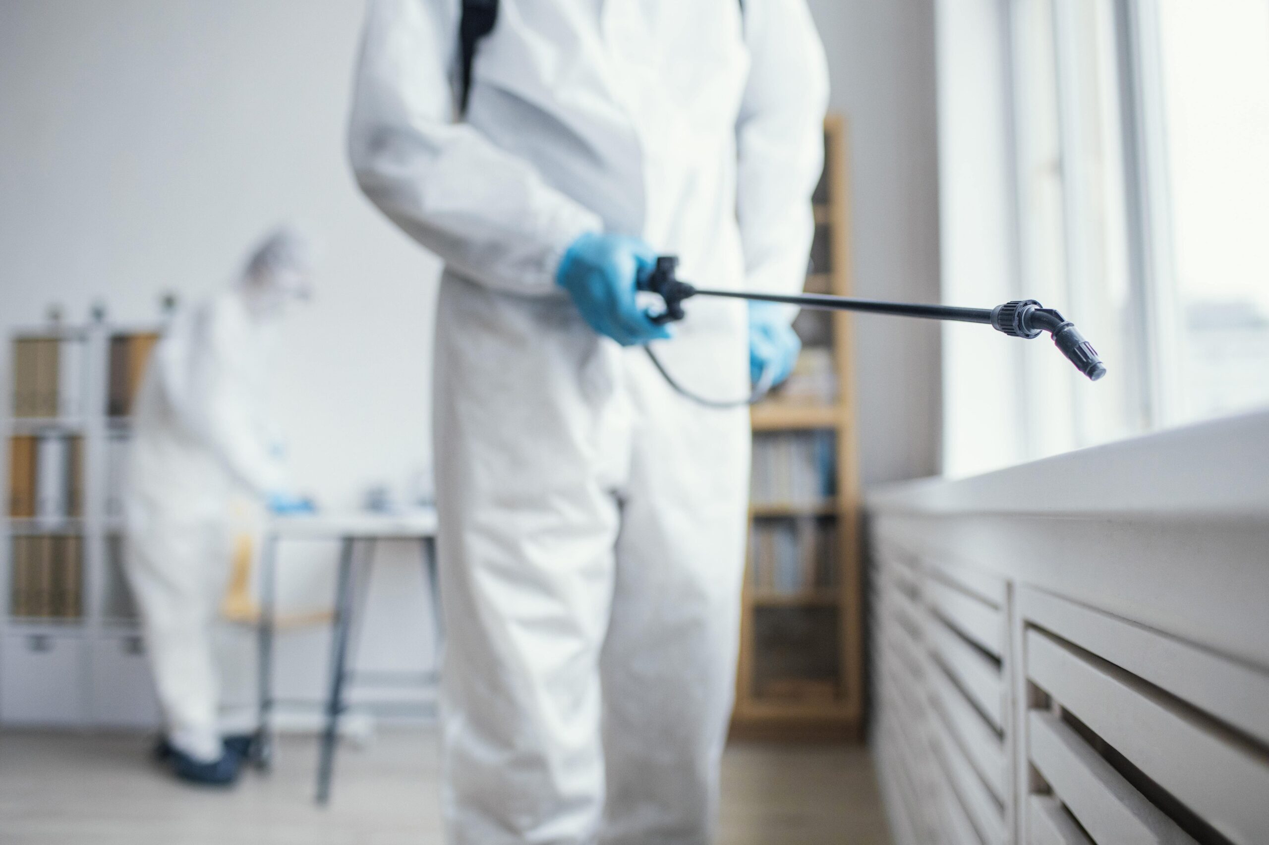 Professional exterminators for bed bugs applying treatment in a room, wearing protective white suit and blue gloves while using specialized spray equipment