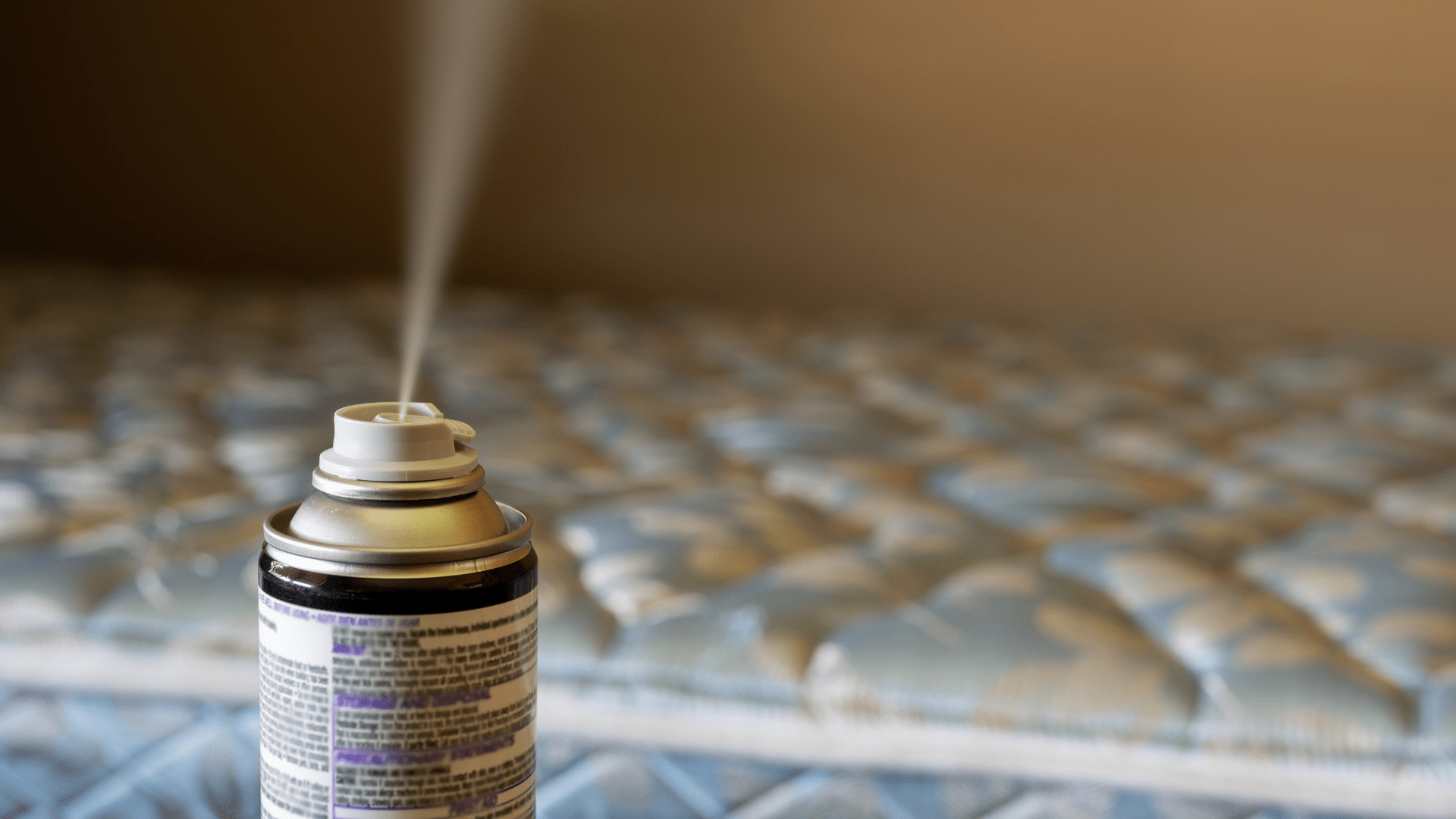 Professional bed bug exterminators Dallas use specialized spray treatments on mattresses to eliminate infestations in residential homes