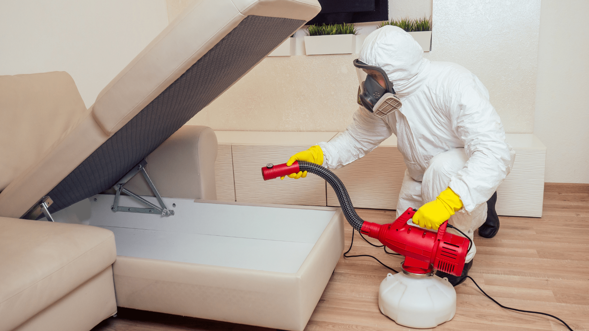 A pest control specialist in protective gear treats a sofa for bed bugs in Dallas TX, using professional-grade equipment for thorough elimination of infestations.